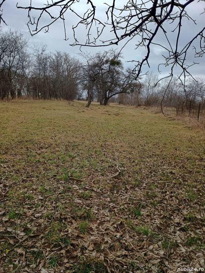 Casa 100 mp la Rapa de Jos, Jud. Mures - 9