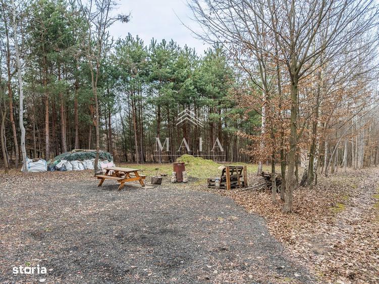 Teren extravilan 2200 mp, zona Calea Poplacii, la 5 min de Valea Aurie - 6