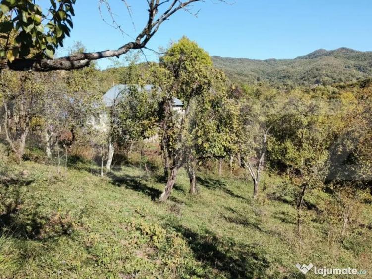 Teren cu priveli?te superba , livada ?i poten?ial casu? - 14