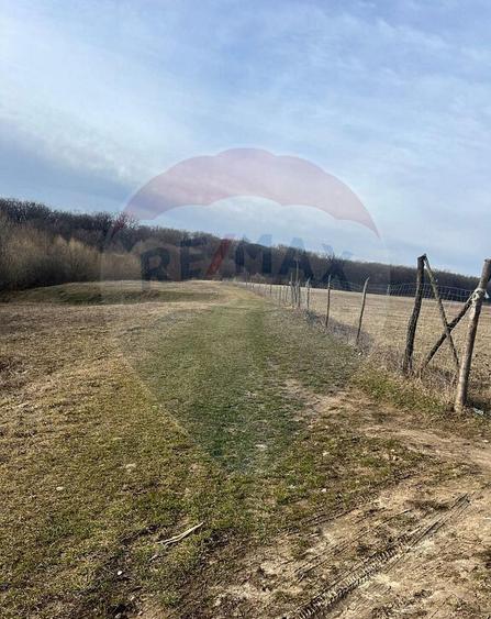 Teren 2925 mp comuna Mitocu Dragomirnei - 12