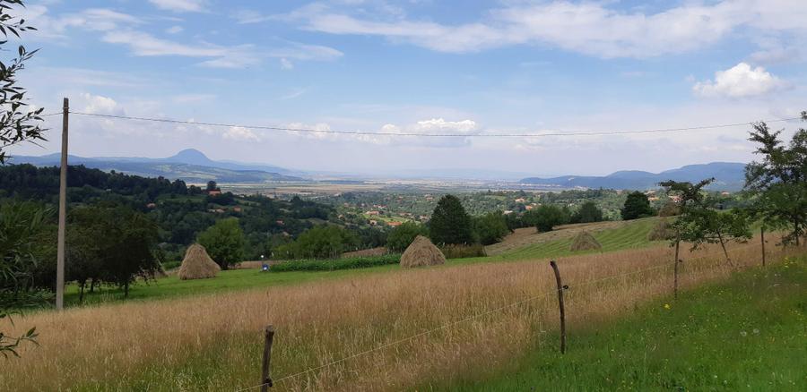 Teren intravilan BRAN-Bradul Inalt-Priveliste panoramica - 3