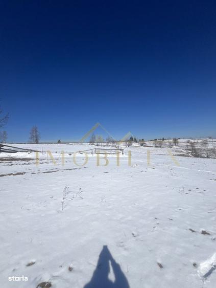 De vanzare Teren in Marisel cu suprafata de 2500 mp - 2