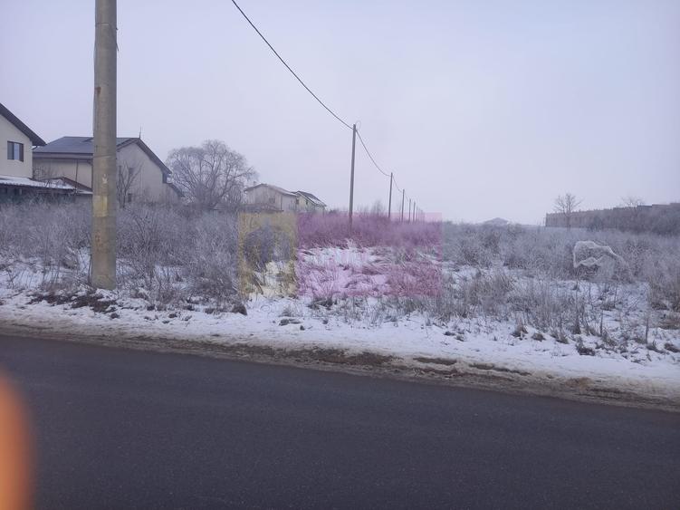 Teren Domnesti 12300 mp de vanzare sau asociere - 1