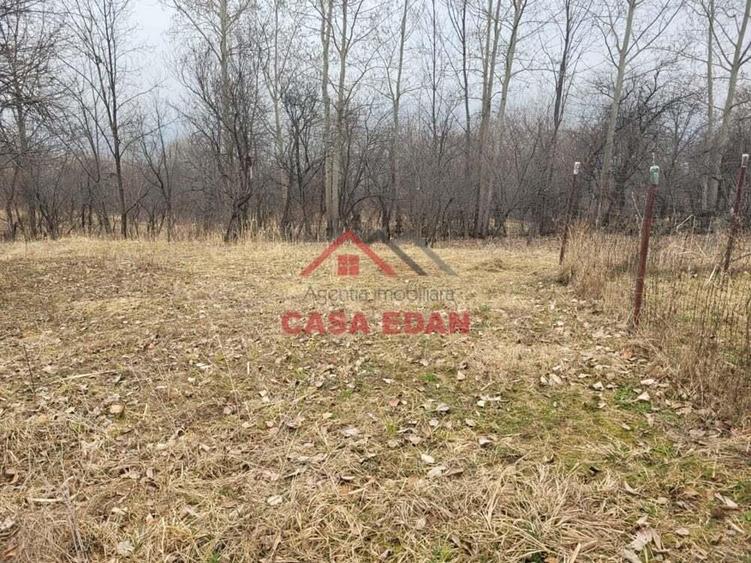 Teren intravilan in Breaza,1358 mp, 40.000e - 11