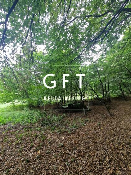 Teren Intravilan de vanzare Bistrita | 795 mp, priveli?te panoramica - 7