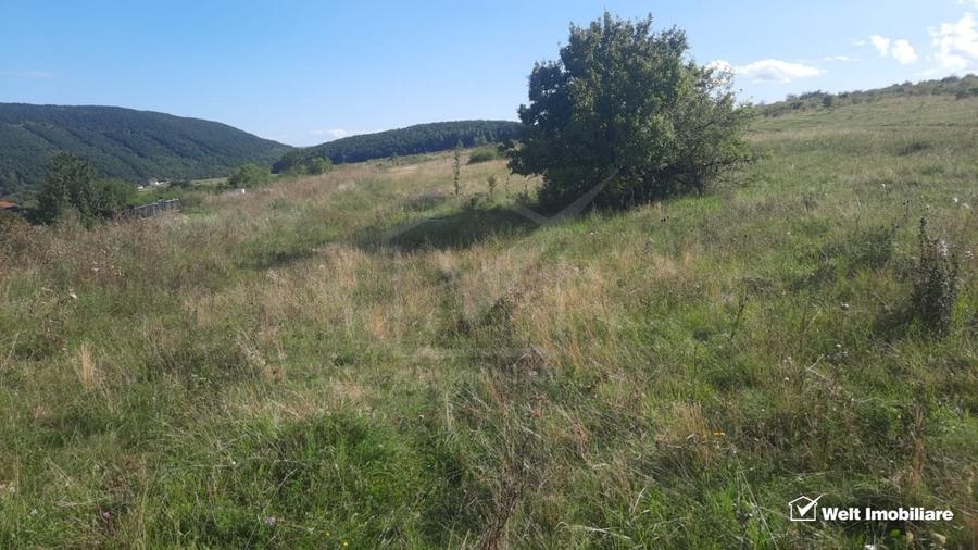 Teren de vanzare | Autorizatie de constructie casa pasiva | Salicea, jud Cluj - 1