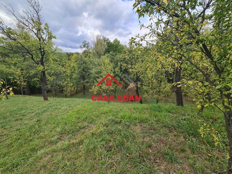 Teren intravilan in Sotrile--1671m--13e - 4