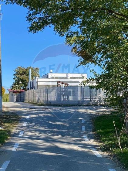 Teren 2,500mp Malu Mare / Strada Bisericii - 4