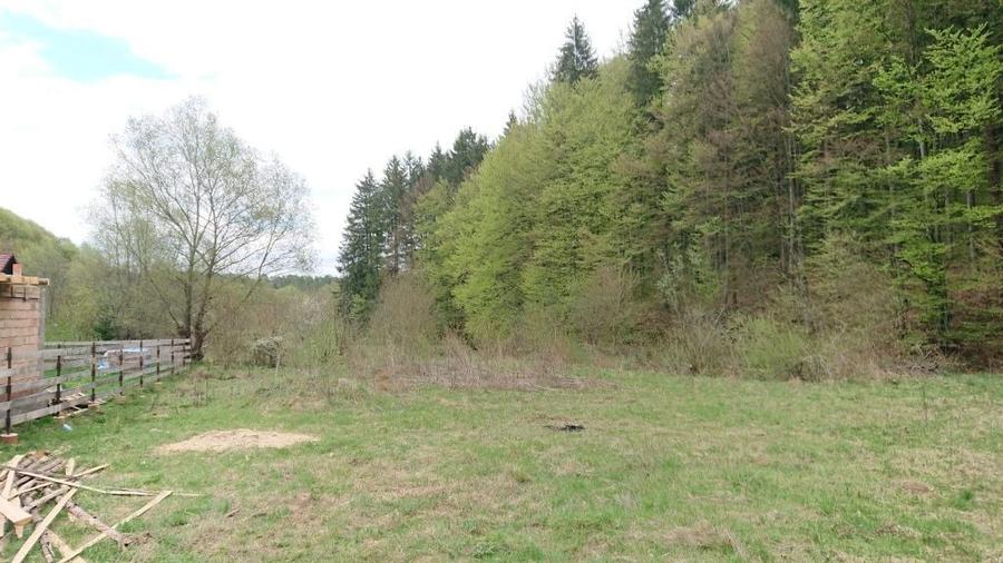 Teren de vanzare la munte valea bozumului - 4