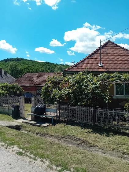 Vand casa la tara - 7