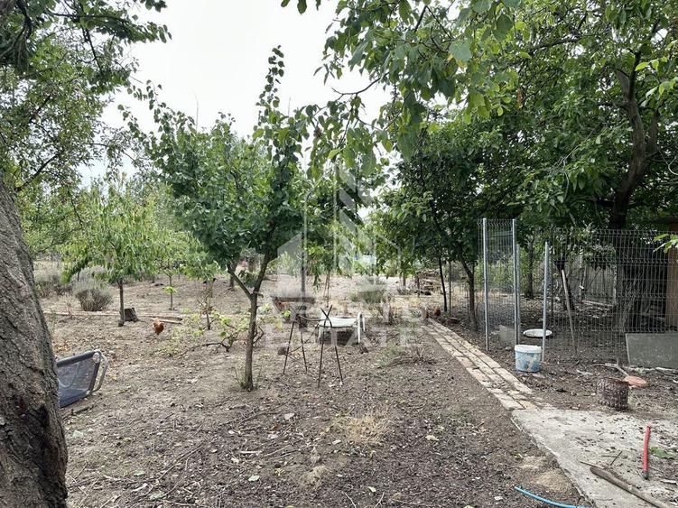 Casa cu anexa si teren 1457 in localitatea Carani - 12
