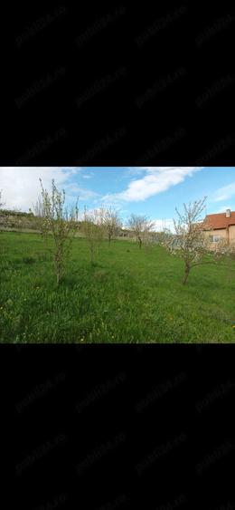 Teren de 1200 mp, în Central