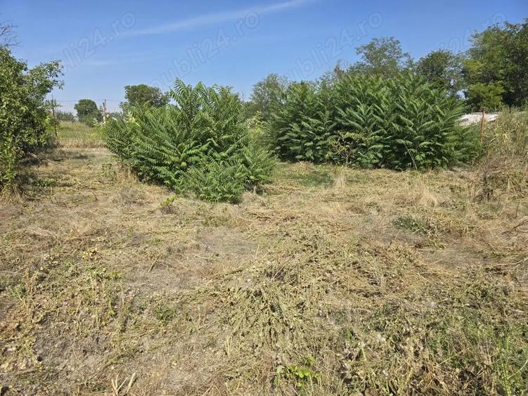 Casa de caramida - 1