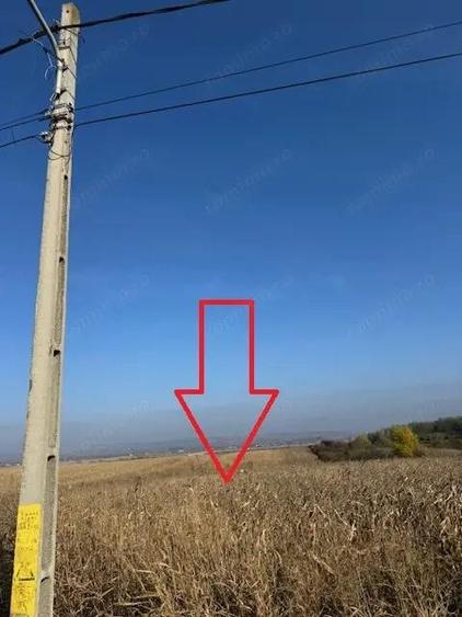 Teren 6.668 mp, de vanzare, loc. BOGDAN VODA, la E-85, com. Saucesti, jud. Bacau - 1