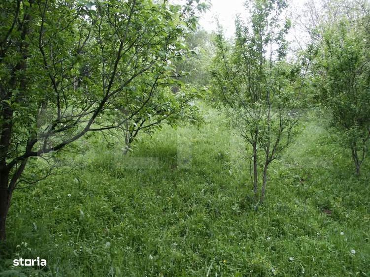 Teren de vanzare, 884 mp, zona Runcu - 1