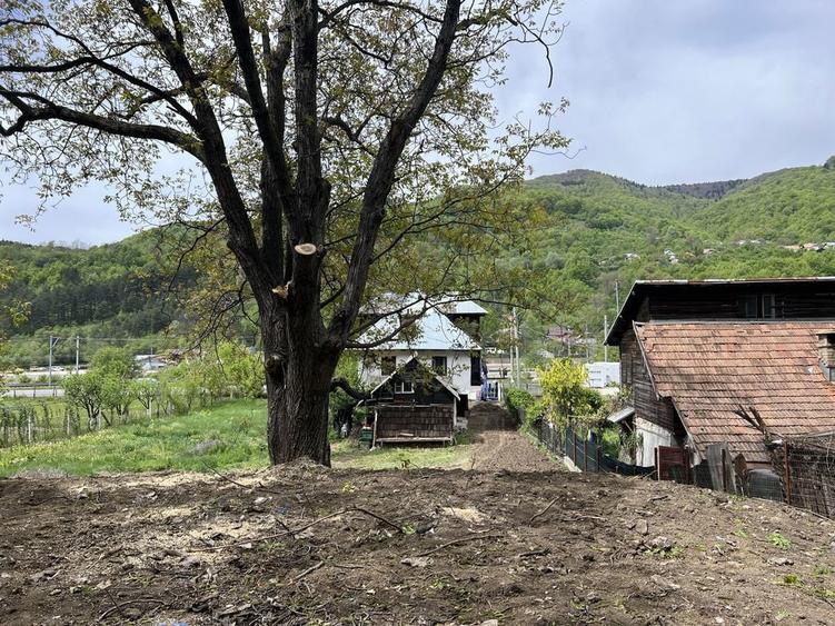 Casa de vacanta cu teren Comarnic - 4