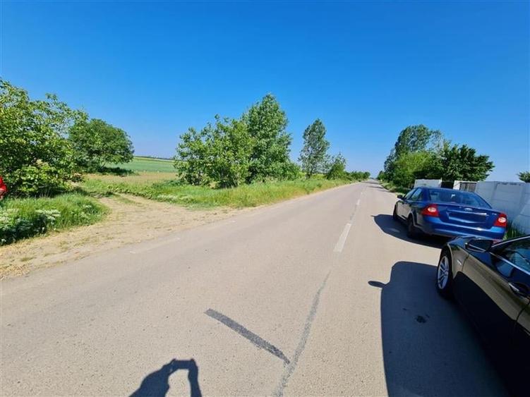 Teren 1500 mp - Comuna 1 Decembrie - Ilfov - 4