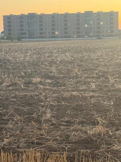 Branesti vand teren intravilan 2.500 mp, pret 70 euro/ mp - 3