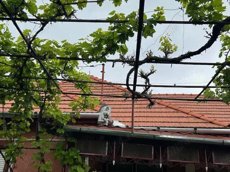 Vanzare Casa in Rusii-Mun?i, Jude?ul Mure? - 9