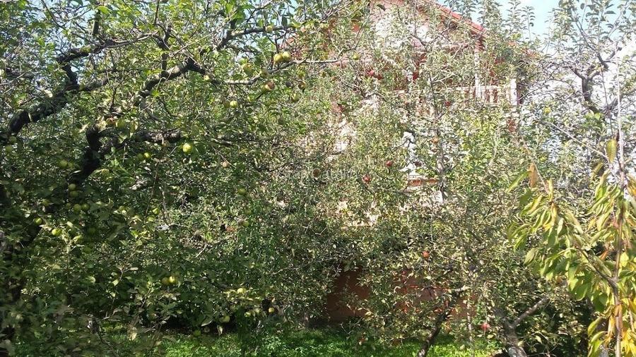 Casă cu 5 camere în Voinești
