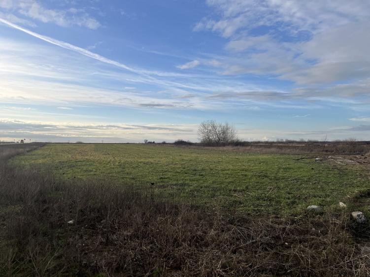 Teren 7481 mp, cu acces facil la Inelul Metropolitan - 8