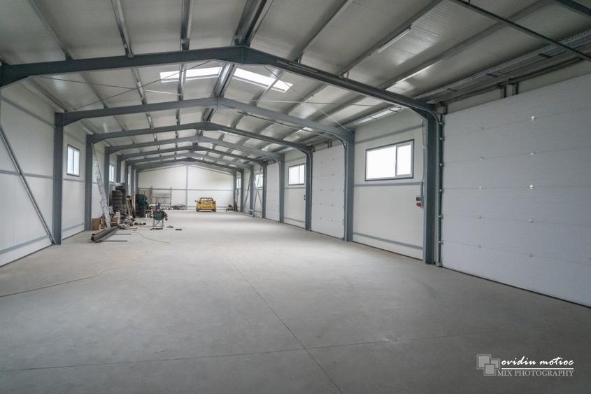 Hala 2022 singur la curte - 1