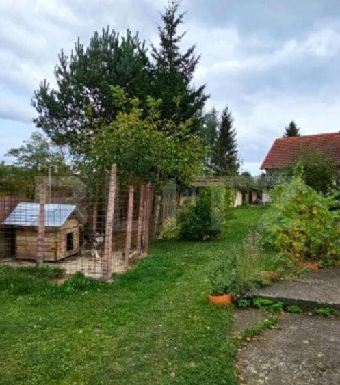 Casa deosebita, 3000 mp teren, 6 camere zona linistita - Bar - 12