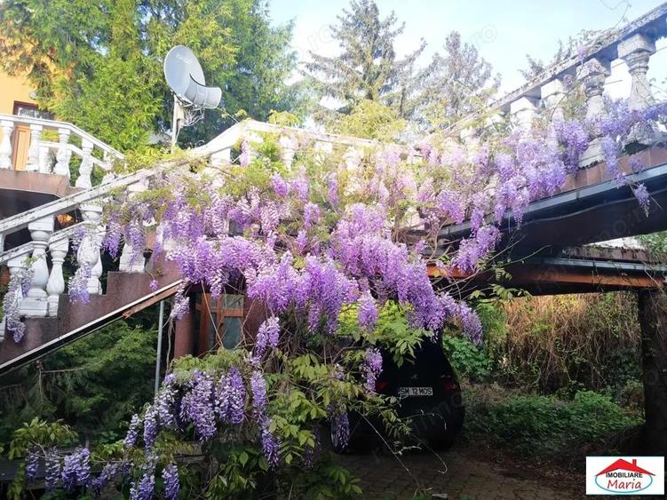 Casa solida cu teren 719 mp in Piata Titulescu - 5