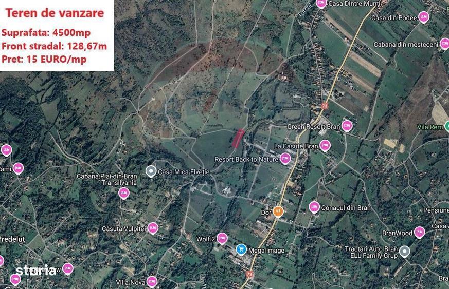 Teren Tohanul Nou 4500mp, in spate Wolf - 9