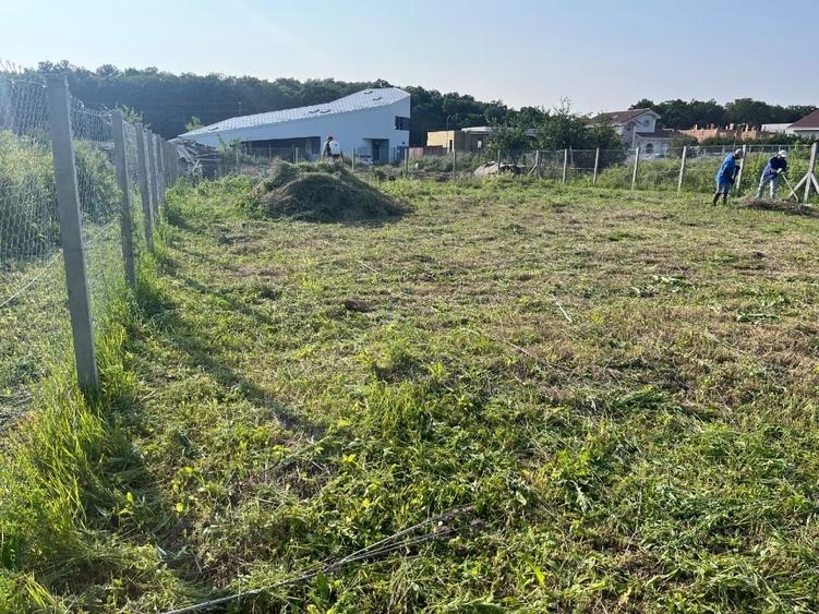 Teren zona premium, Padurea Verde - 3