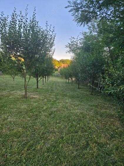 Vand teren intravilan, 950mp in sat Topircea jud. Sibiu - 6