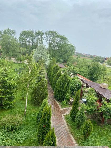 Vilă | 7 Camere |  Ds+P+1E+M | Teren 1346mp | Ieșire la Lac | Comuna Berceni - 8