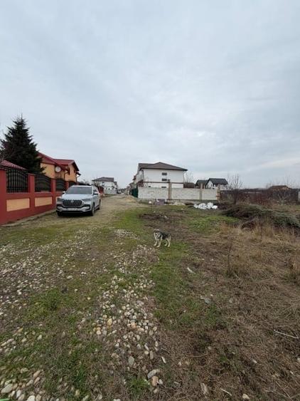 Teren Intravilan de Vanzare Aeroportului Cornetu - 2