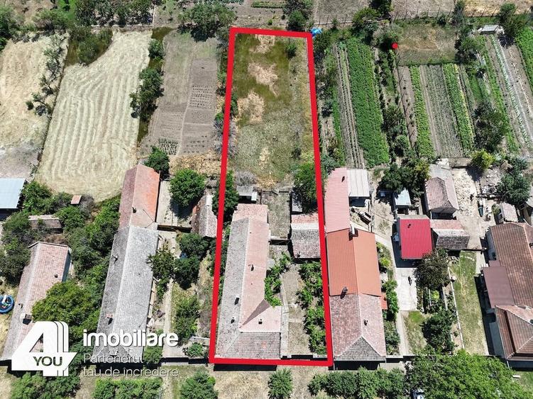 Casa in Secusigiu cu teren 1459 mp, fs.20 ml, 4 camere +anexe - 12