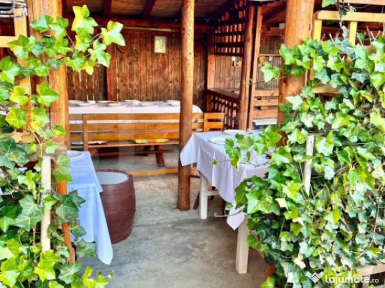 Casa 5 camere,teren 700 mp, foisor si gratar,Micesti - 8