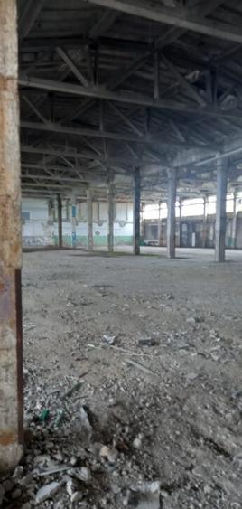 Activ de vanzare la 10 Km de Municipiul Braila ,3 Km de Dunare - 2