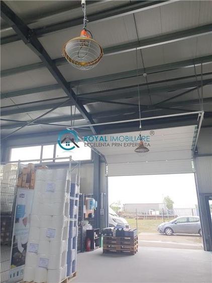 Royal Imobiliare - Vanzare spatiu industrial in zona Paulesti - 22