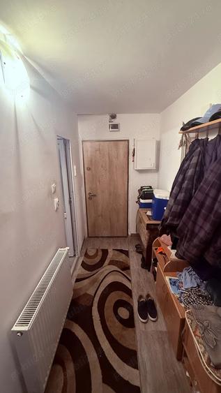 Buzias Timis apartament cu 1 camera de vanzare complet mobilat si izolat - 7
