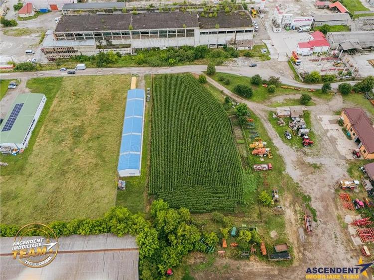 FILM! 4.600mp,aria industriala,utilitati aproape:hala,depozit,service auto - 6