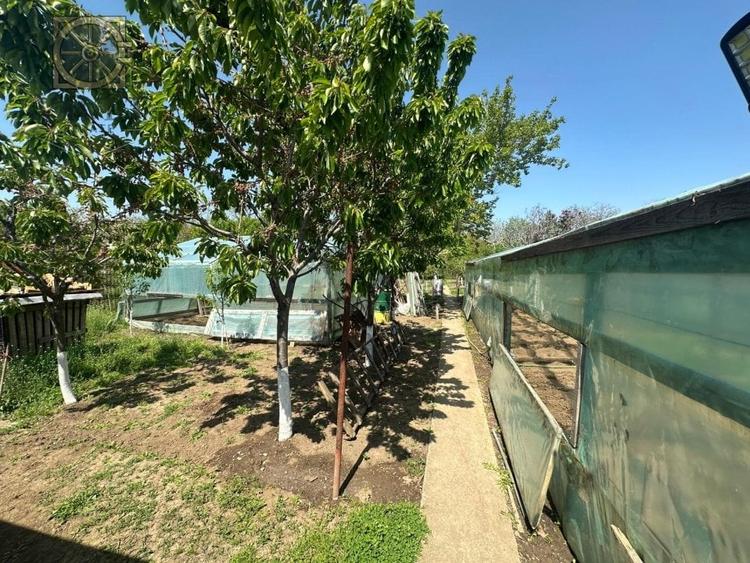 Casa - Mogosoaia -Individuala - 19