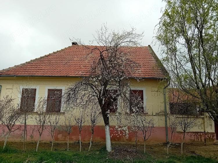 Vand casa cu gradina mare in Hitia? - 3