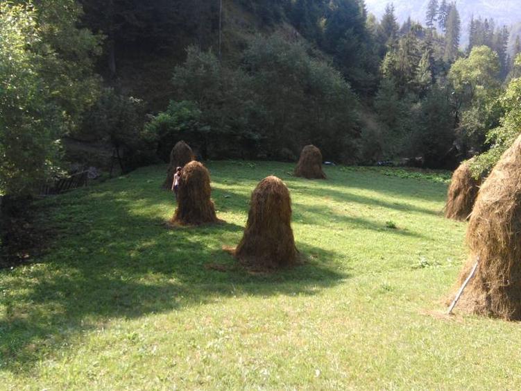 Teren agrement Voineasa IN SPATELE PRIMARIEI cu cabana ideal pentru pensiune - 4