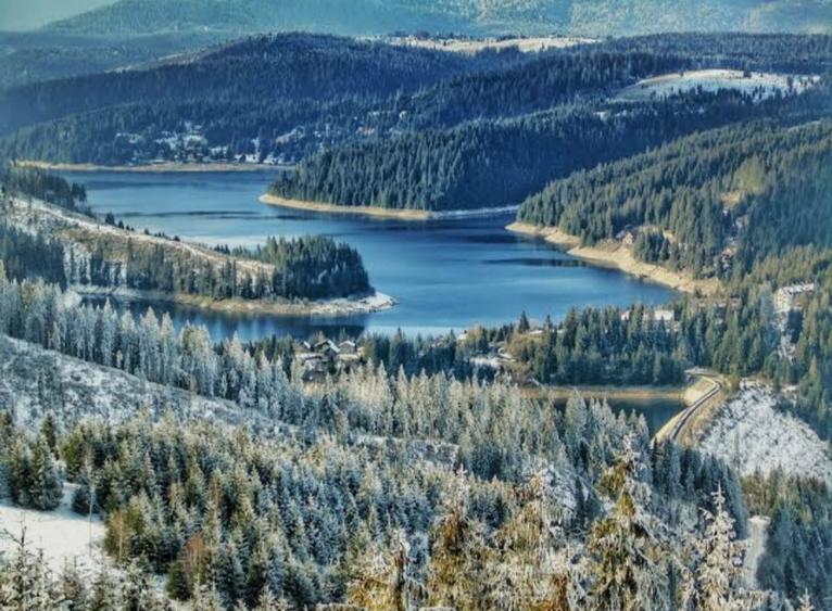 Teren de vanzare  - 1