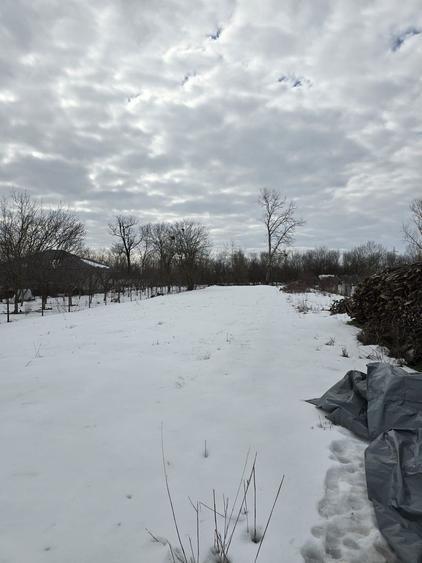 Teren de vanzare in Cornetu - 8