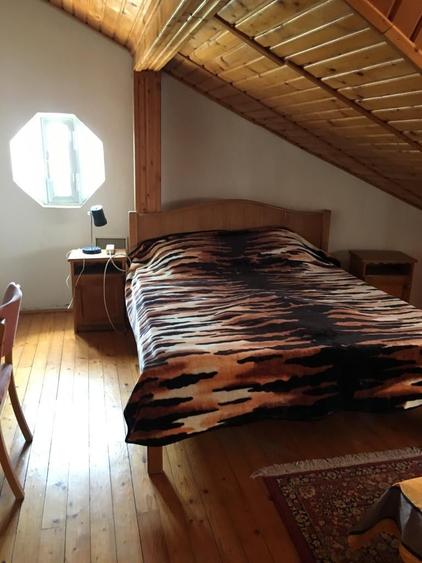 OVIDIU PARTEA CU GHIOLUL vila - 5