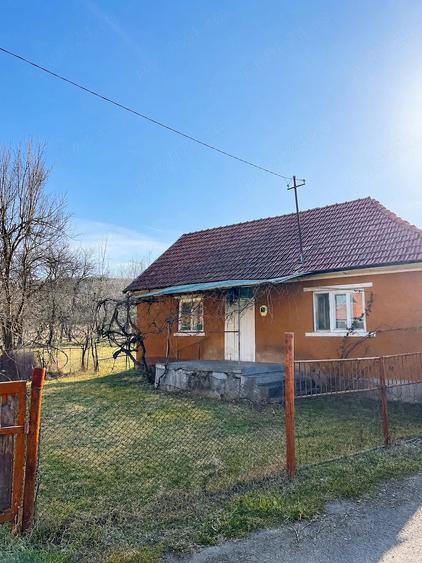 Casă cu Teren 1600 Mp în Dăbâca