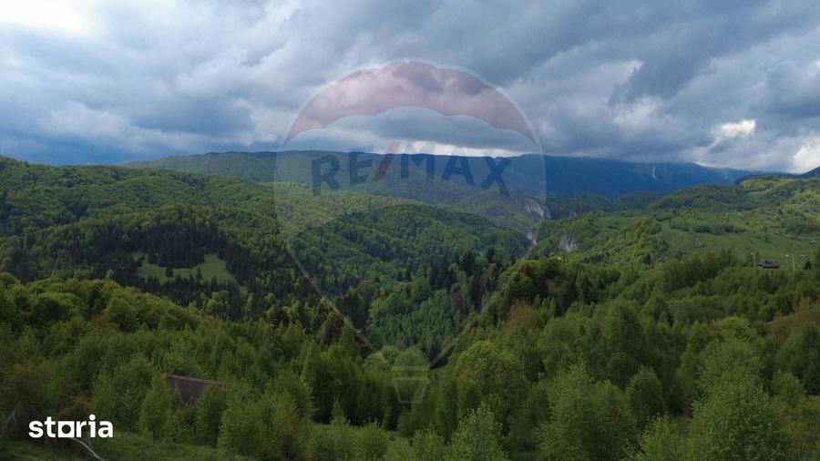 Teren de 38704 mp, în Mănești