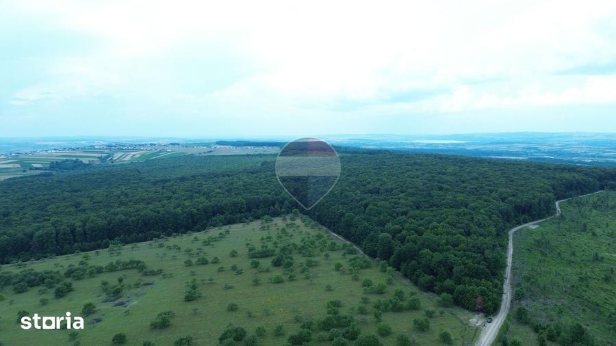 Teren de 95000 mp, în Șerbăuți