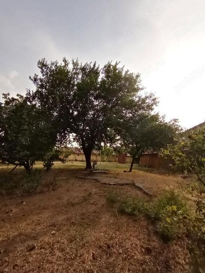 Vand teren intravilan(casa)Cioranca, Localitatea Movila Banului, Jud. Buzau - 8