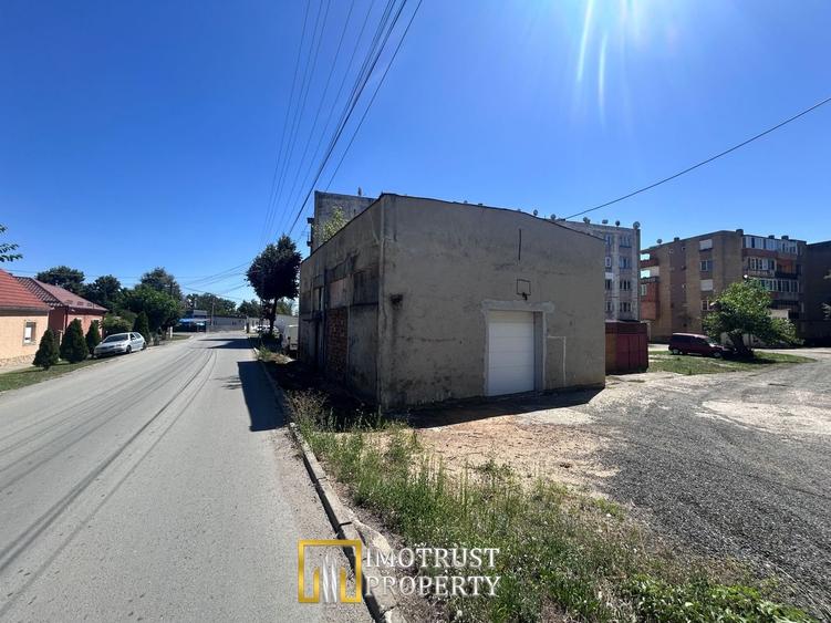 Hală Industrială de inchiriat – Lipova, Județul Arad - 6